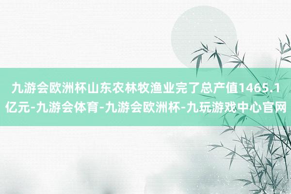 九游会欧洲杯山东农林牧渔业完了总产值1465.1亿元-九游会体育-九游会欧洲杯-九玩游戏中心官网