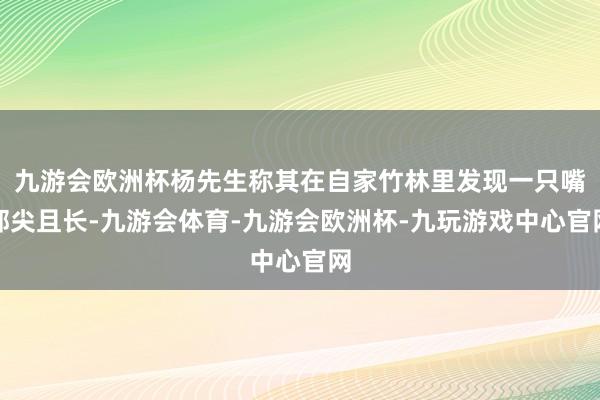 九游会欧洲杯杨先生称其在自家竹林里发现一只嘴部尖且长-九游会体育-九游会欧洲杯-九玩游戏中心官网