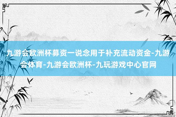 九游会欧洲杯募资一说念用于补充流动资金-九游会体育-九游会欧洲杯-九玩游戏中心官网