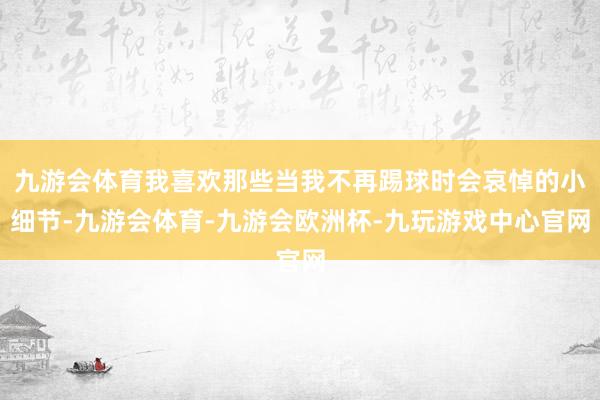 九游会体育我喜欢那些当我不再踢球时会哀悼的小细节-九游会体育-九游会欧洲杯-九玩游戏中心官网