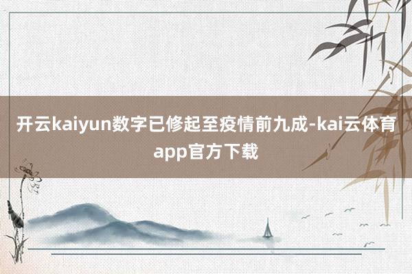 开云kaiyun数字已修起至疫情前九成-kai云体育app官方下载